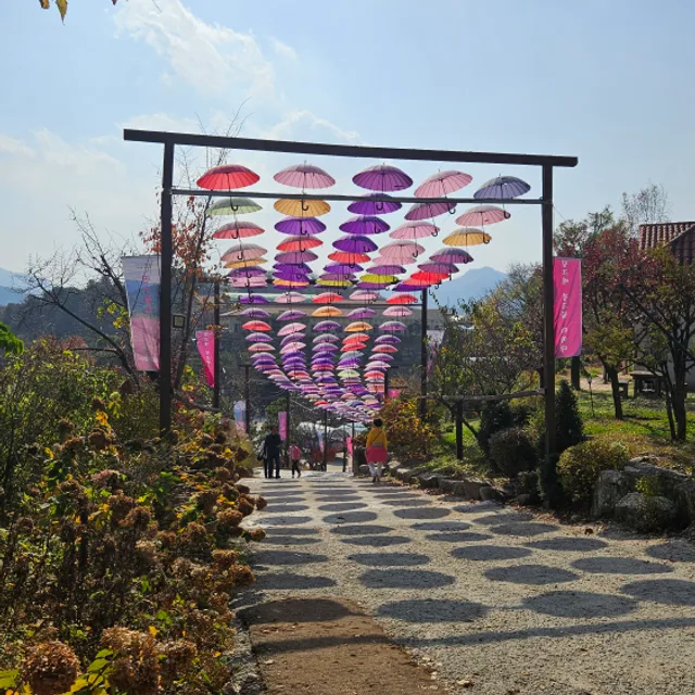 삼양동