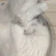 하루또하루