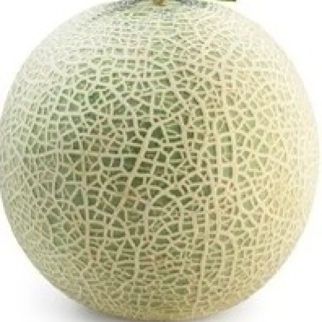 메론