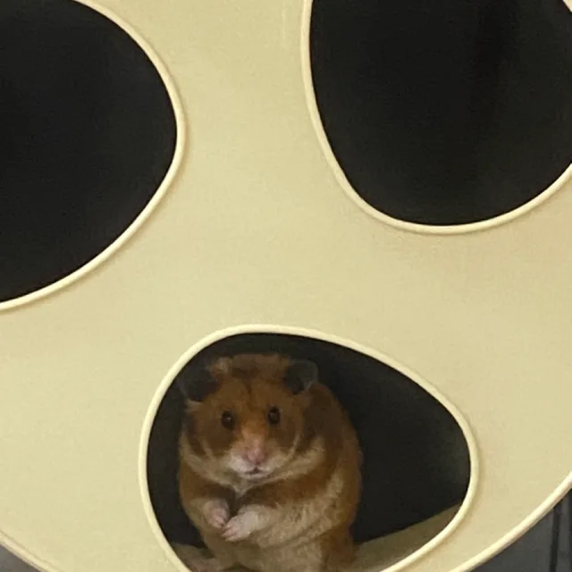 끼끼