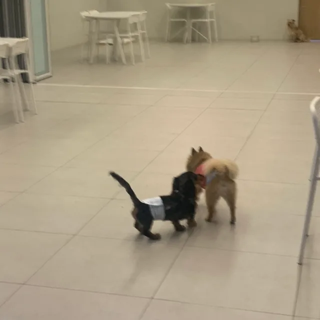소용돌이