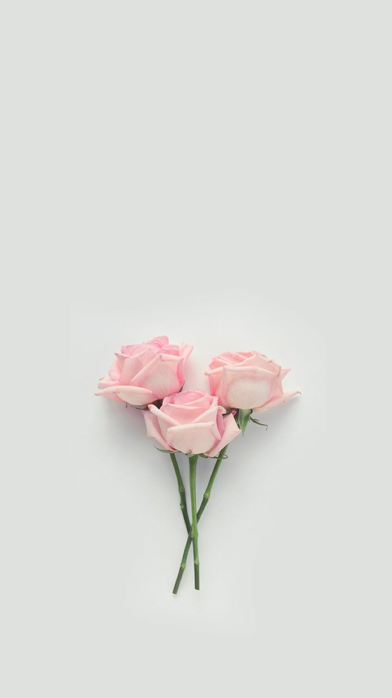 라임