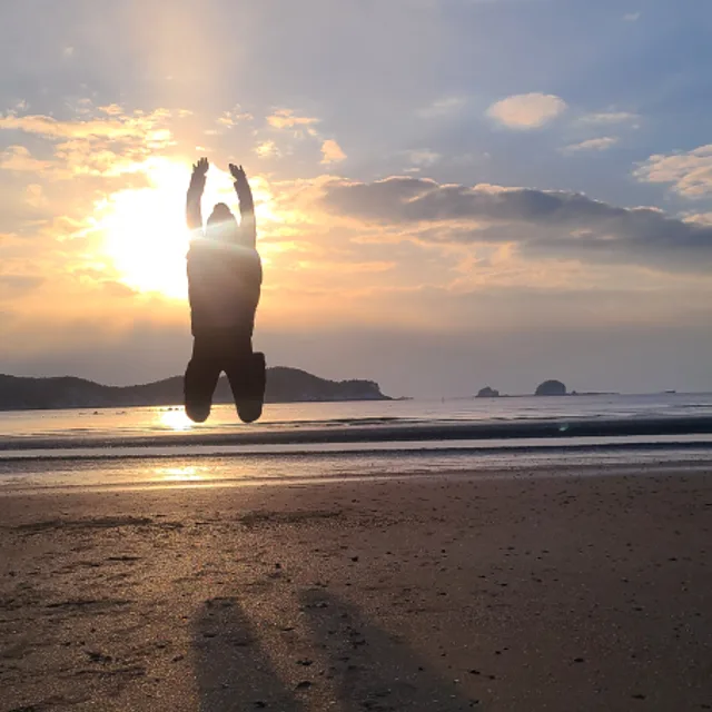 병아리