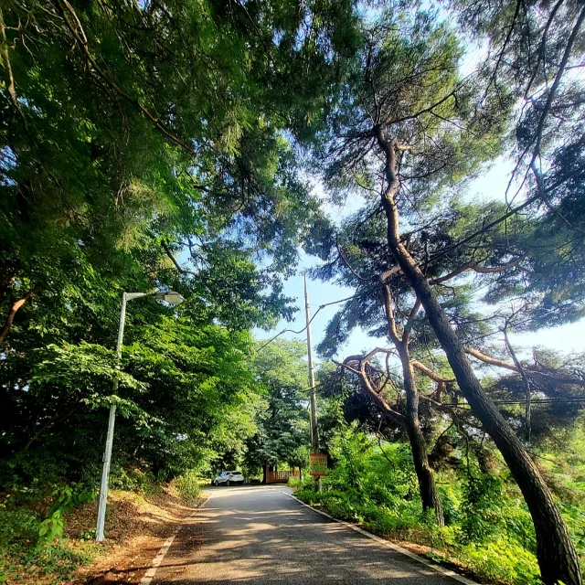선차미정