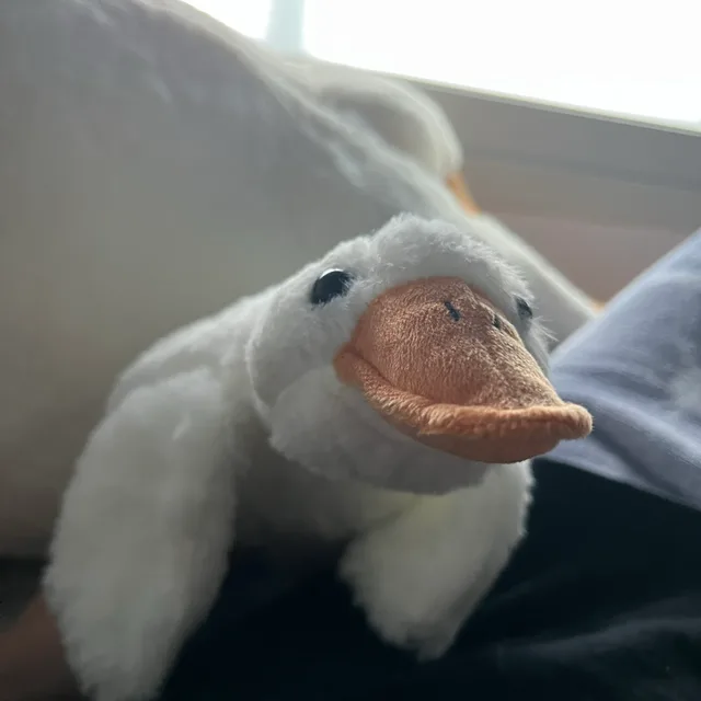 제이크