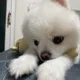 뿌우우