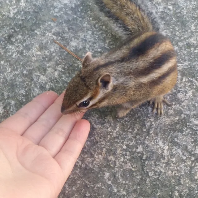 뫄뫄