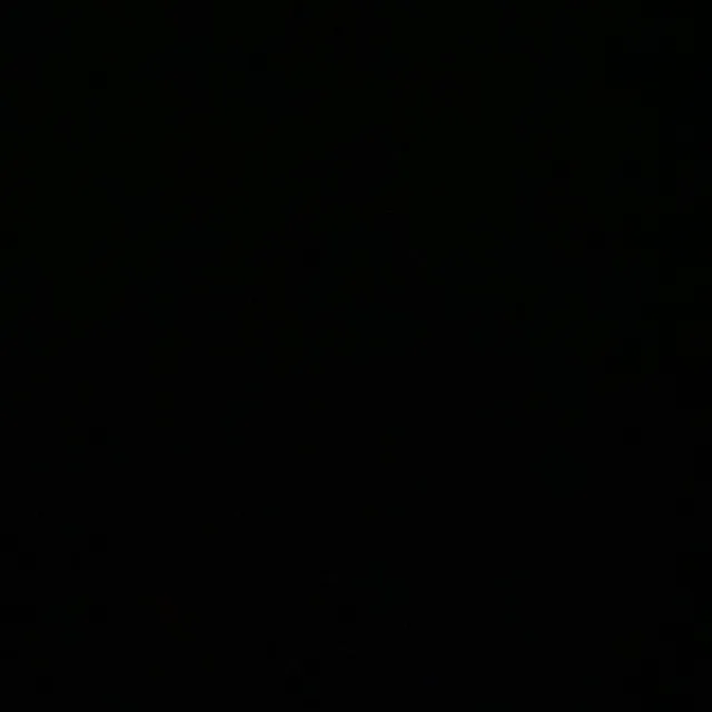 김도트