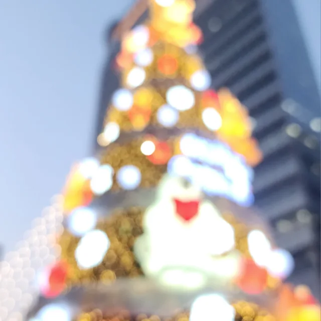 아보카