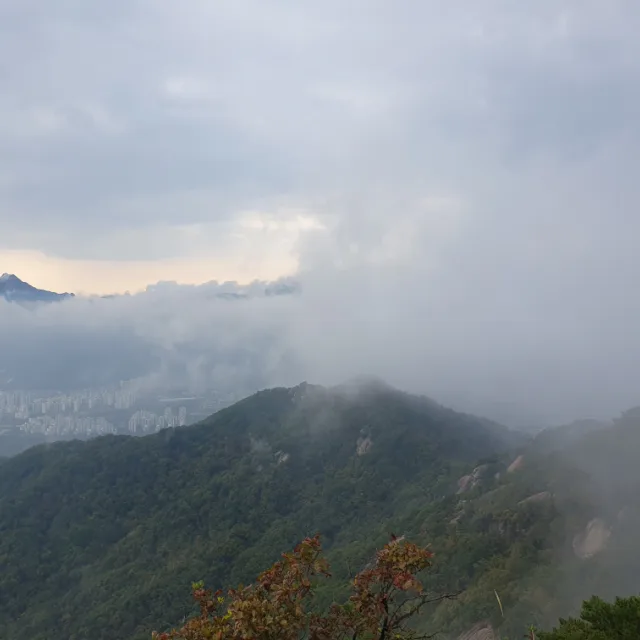 퀀텀점프