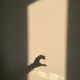 소정의상품