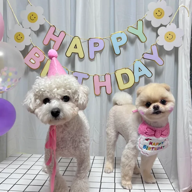 꼬비짱이