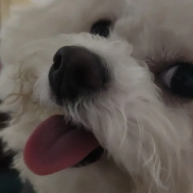 뚱이