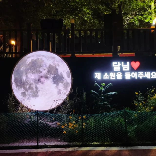 스텔라
