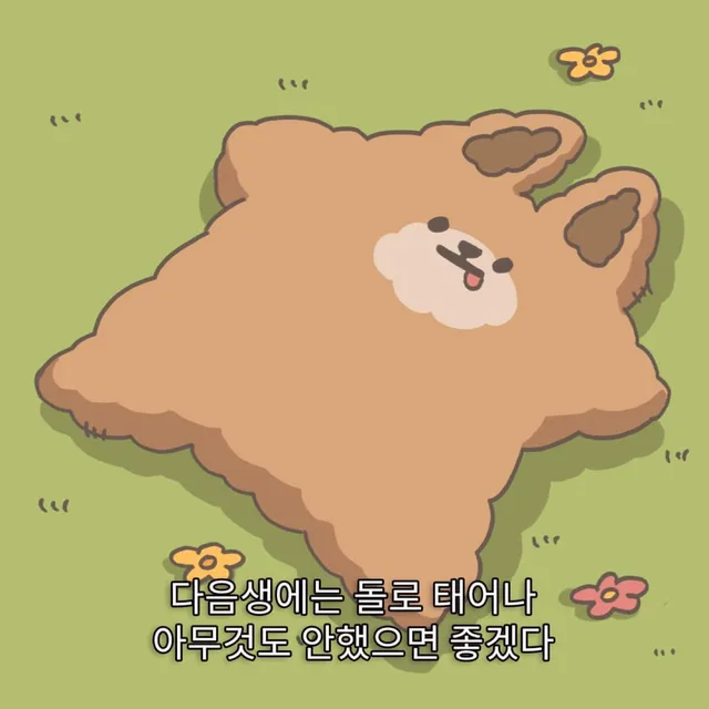 젤라