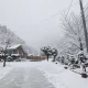 릴라