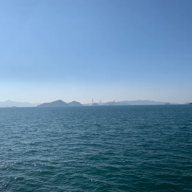꿀젤리