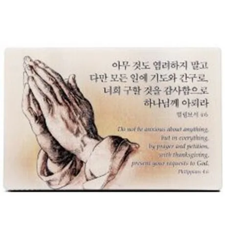 뚱보올리브
