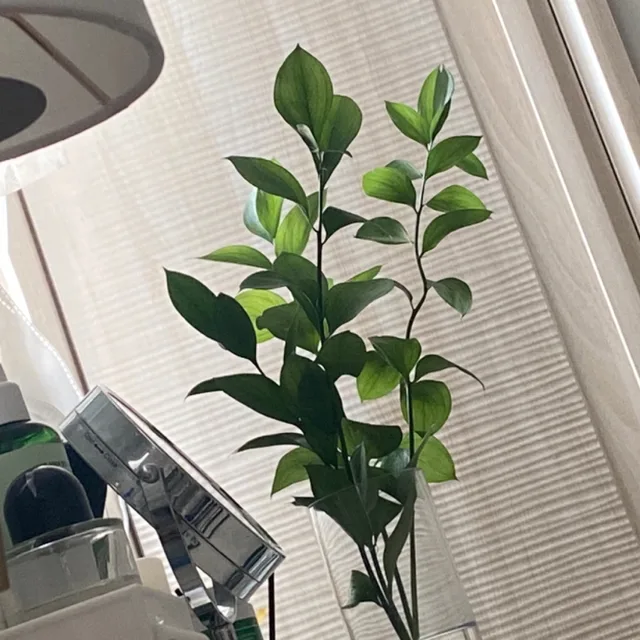 루스커스