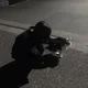 하트