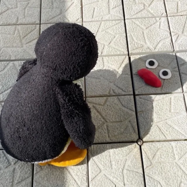 밍밍