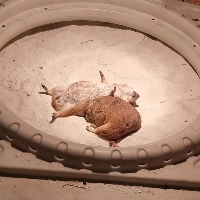 김과장