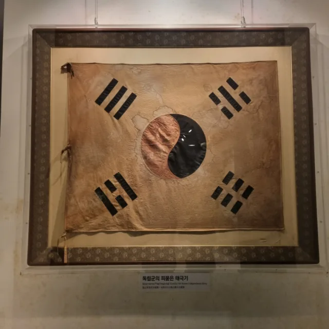 돌핀69