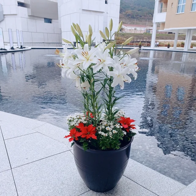 동그라미