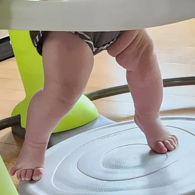 햄이