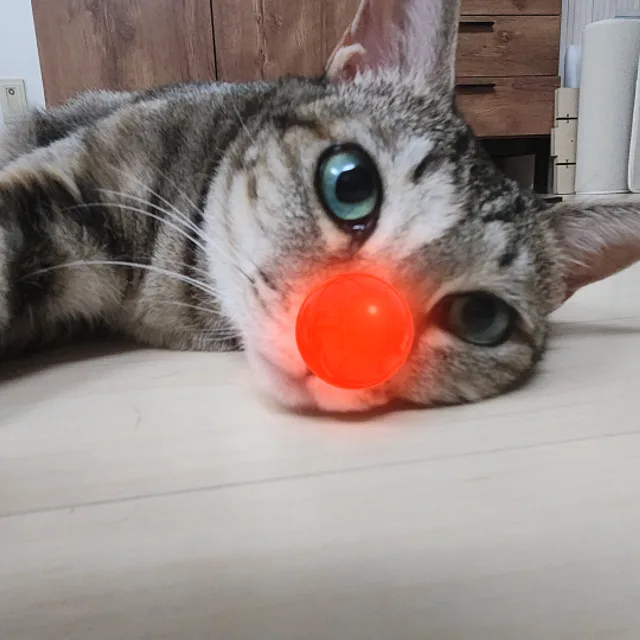 알힘
