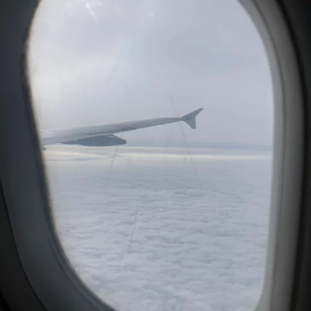 오아시스트