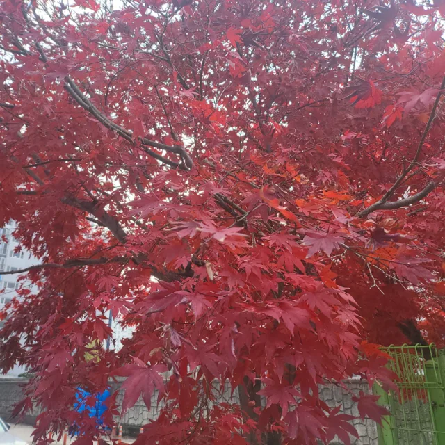 용두마을길13