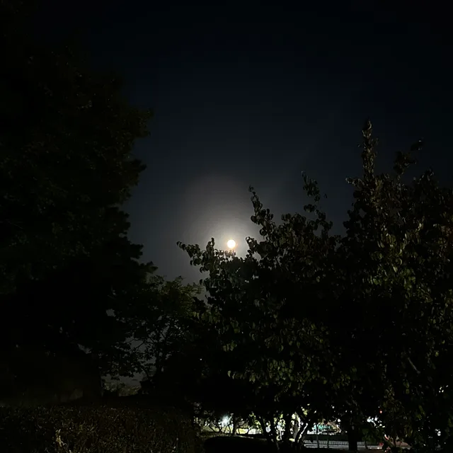라벥