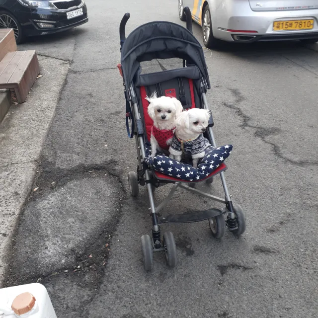 모모설이맘