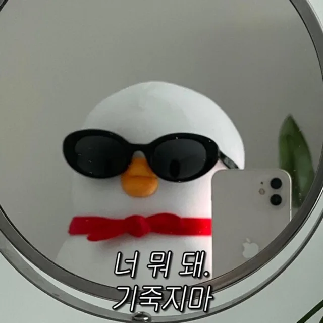돼지