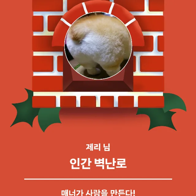 제리