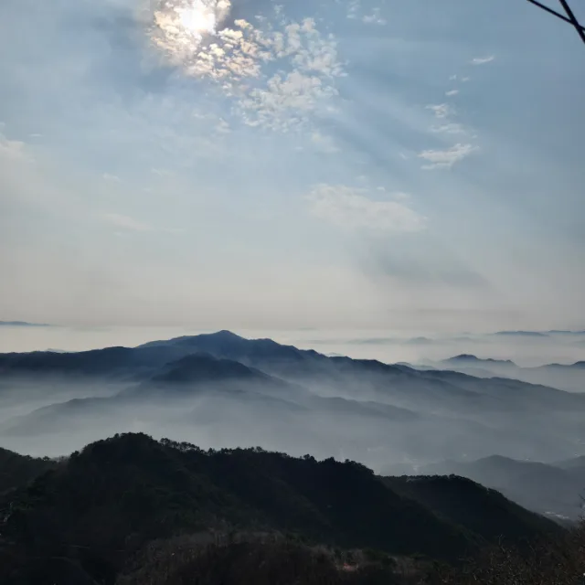 바른생활