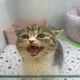 옥산살아유