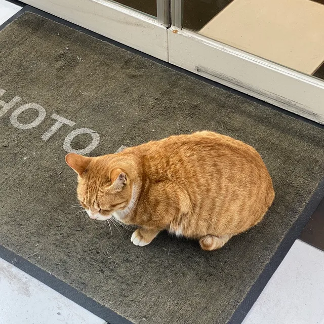 지우