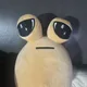 포우