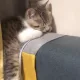 라라