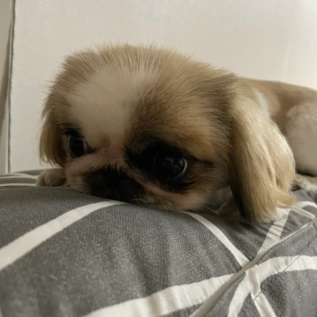 수성