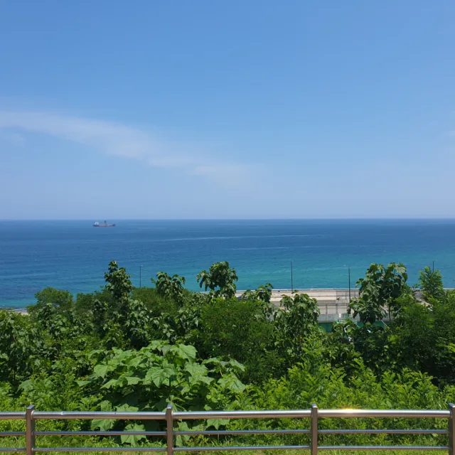 한야