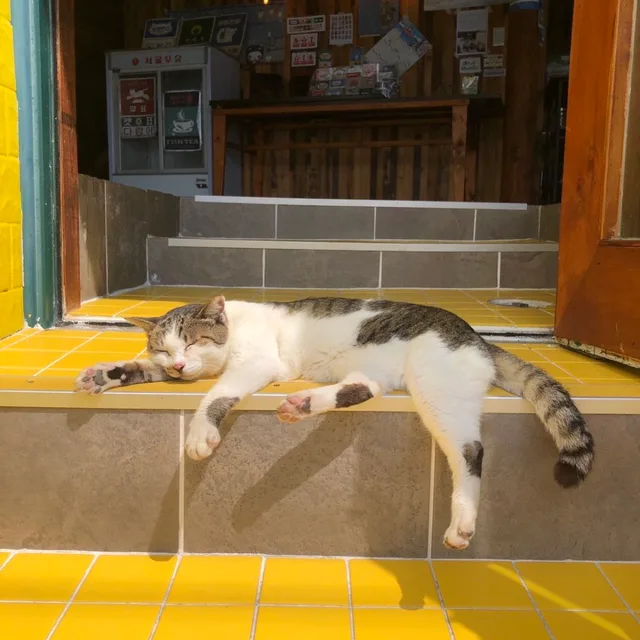뮴뮴