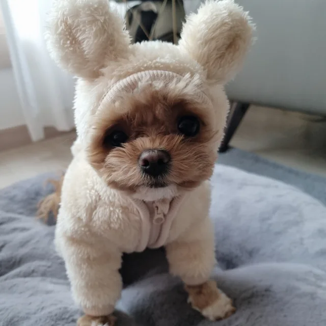 소금이네