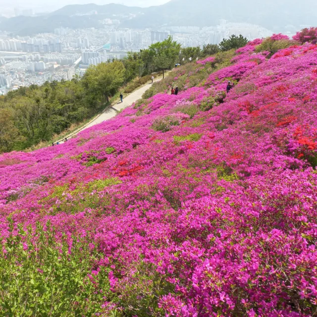 선별기