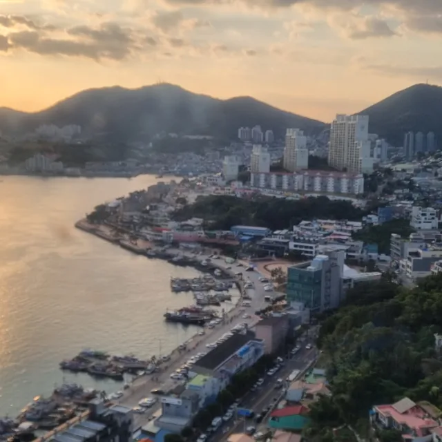 이베리코흑돼지