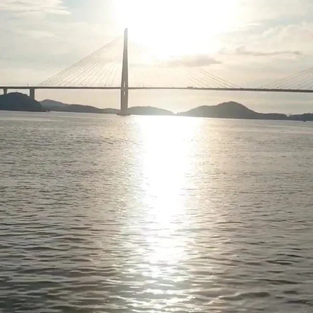 푸우랑봄