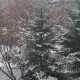 반포맘