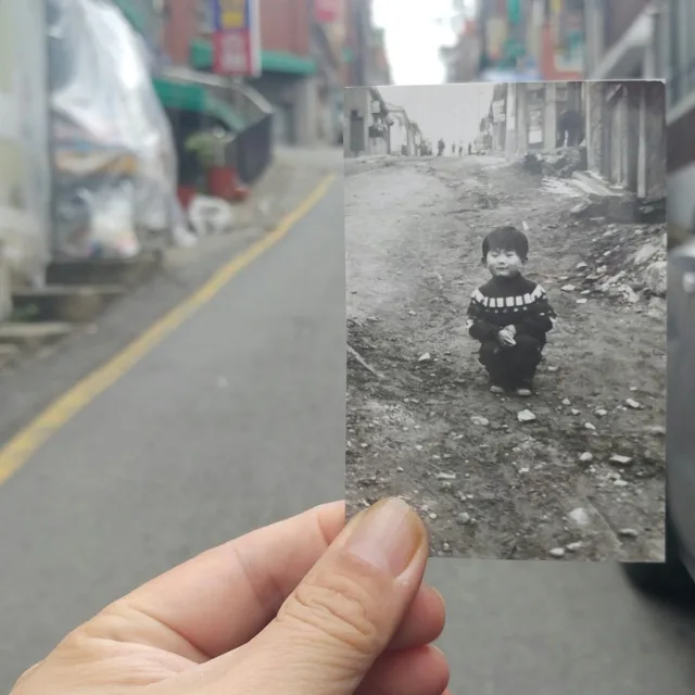 껍질